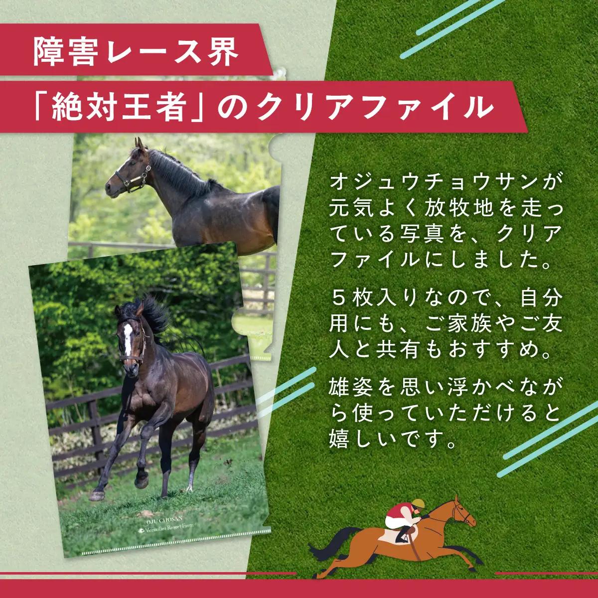 【オジュウチョウサン】クリアファイル（写真）5枚入り BRTV019
