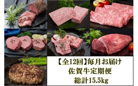 【新型コロナ被害支援】【全12回】毎月お届け 佐賀牛 定期便 総計15.5kg J475