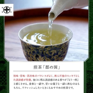 《中村藤吉本店》 煎茶『都の巽』・玉露『嘉玉』詰合せ(各80g×1缶・計160g) 銘茶 お茶 宇治茶 緑茶 玉露 煎茶【uj-AZ024】【中村藤吉本店】
