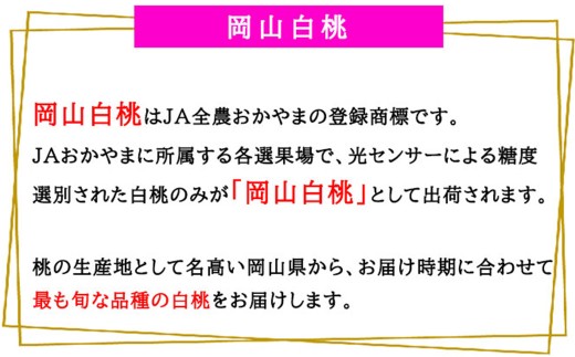 岡山白桃 エース 8～16玉 約4kg 岡山県産【2027年7月上旬～8月下旬迄発送予定】 ／ 白桃 桃 もも 果物 果実 フルーツ 岡山県 美咲町 冷蔵