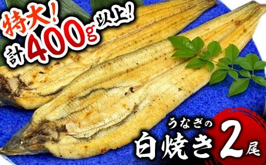 うなぎ白焼き 400g (200g×2尾)