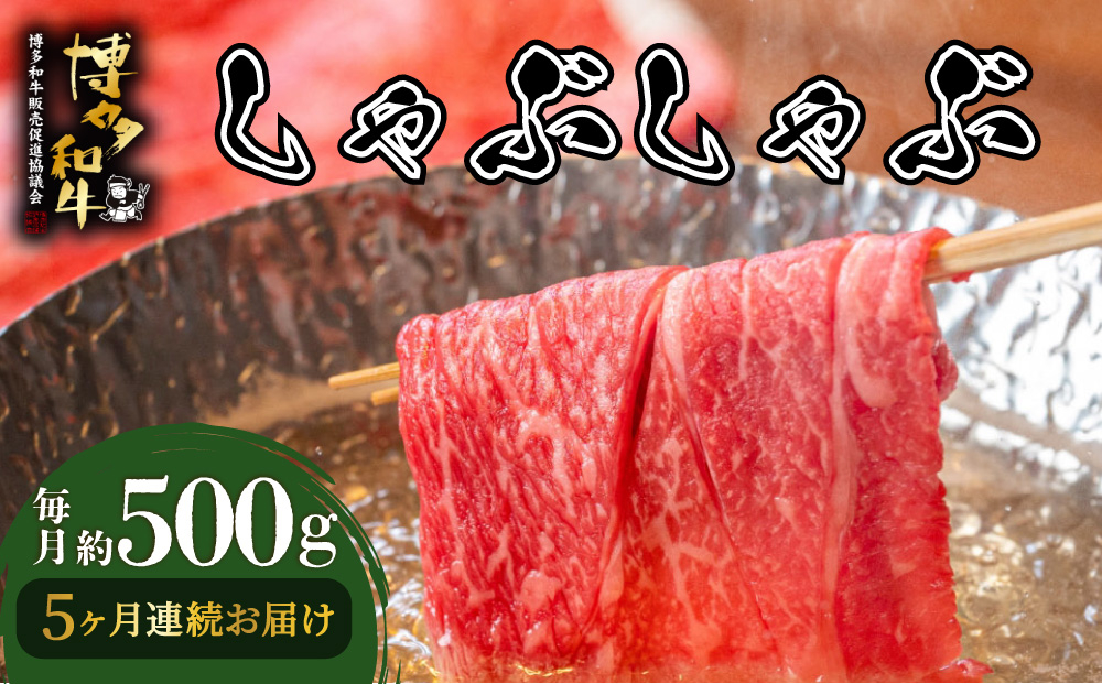 寄附額改定↓ ＜定期便・全5回＞博多和牛 しゃぶしゃぶ 約500g