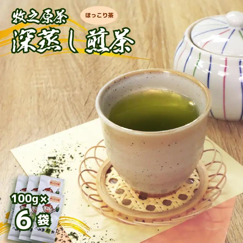 深蒸し煎茶 100g×6袋 のみま煎か ほっこり茶 静岡県 牧之原市 あっくん