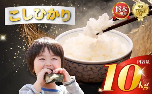 コシヒカリ10kg（5kg×2袋） | 米 こめ コメ kome 白米 精米 お米 こしひかり ｺｼﾋｶﾘ 栃木米 令和7年度米 令和7年度 2025年度米 2025年度 ブランド米 栃木県 特産品 送料無料 【栃木県共通返礼品】 栃木県 下野市 しもつけ市