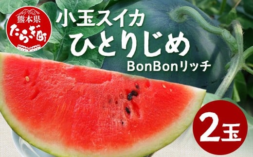 【8月上旬～発送】小玉スイカ ひとりじめ BonBonリッチ 2玉 (1玉1kg〜2kg) 夏 旬 フルーツ すいか 食べきりサイズ 西瓜 果物 旬の味覚 すいか 甘い 産地直送 082-0701