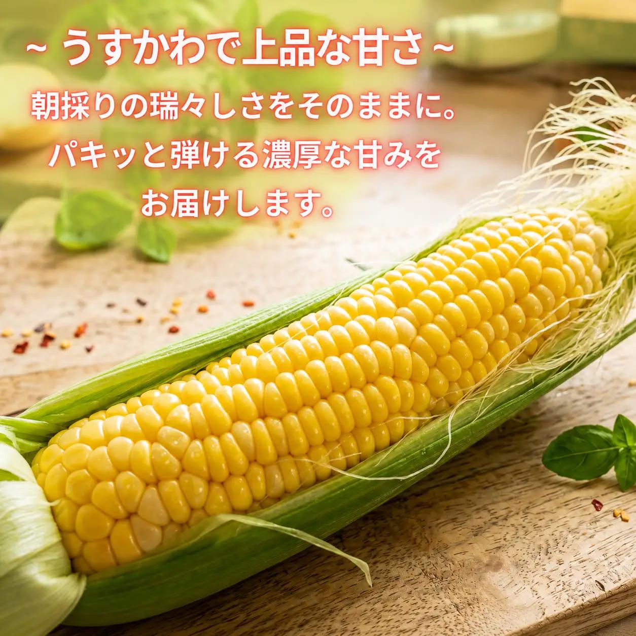 【 朝採れ 当日出荷 】 訳あり スイートコーン 「 味来 」 約5kg 特別栽培農産物 特別栽培 甘い 新鮮 皮付き トウモロコシ とうもろこし コーン 野菜