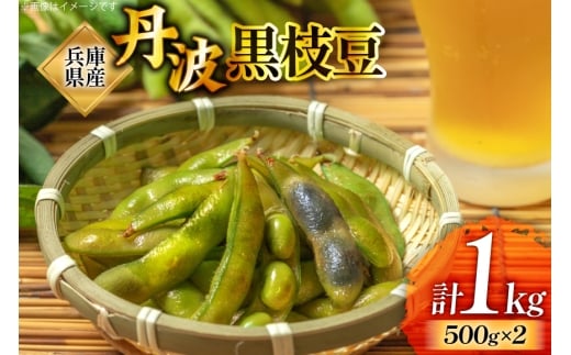 冷凍 兵庫県産 丹波黒 枝豆 500g×2 計1kg [梵天 兵庫県 三田市 3d28bdn950000] 黒豆 えだまめ くろえだまめ 丹波 冷凍枝豆 丹波黒枝豆