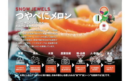 【2026年6～8月発送】 先行受付 北海道 富良野産 赤肉 つやべに メロン 4～5玉 箱 8kg以上 (ふらの 丸山農園) メロン フルーツ 果物 新鮮 甘い 贈り物 ギフト 道産 ジューシー お