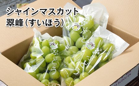【先行予約】シャインマスカット・翠峰　約2.2kg　西都産完熟ぶどう味くらべセット　水間ぶどう園＜2-4＞