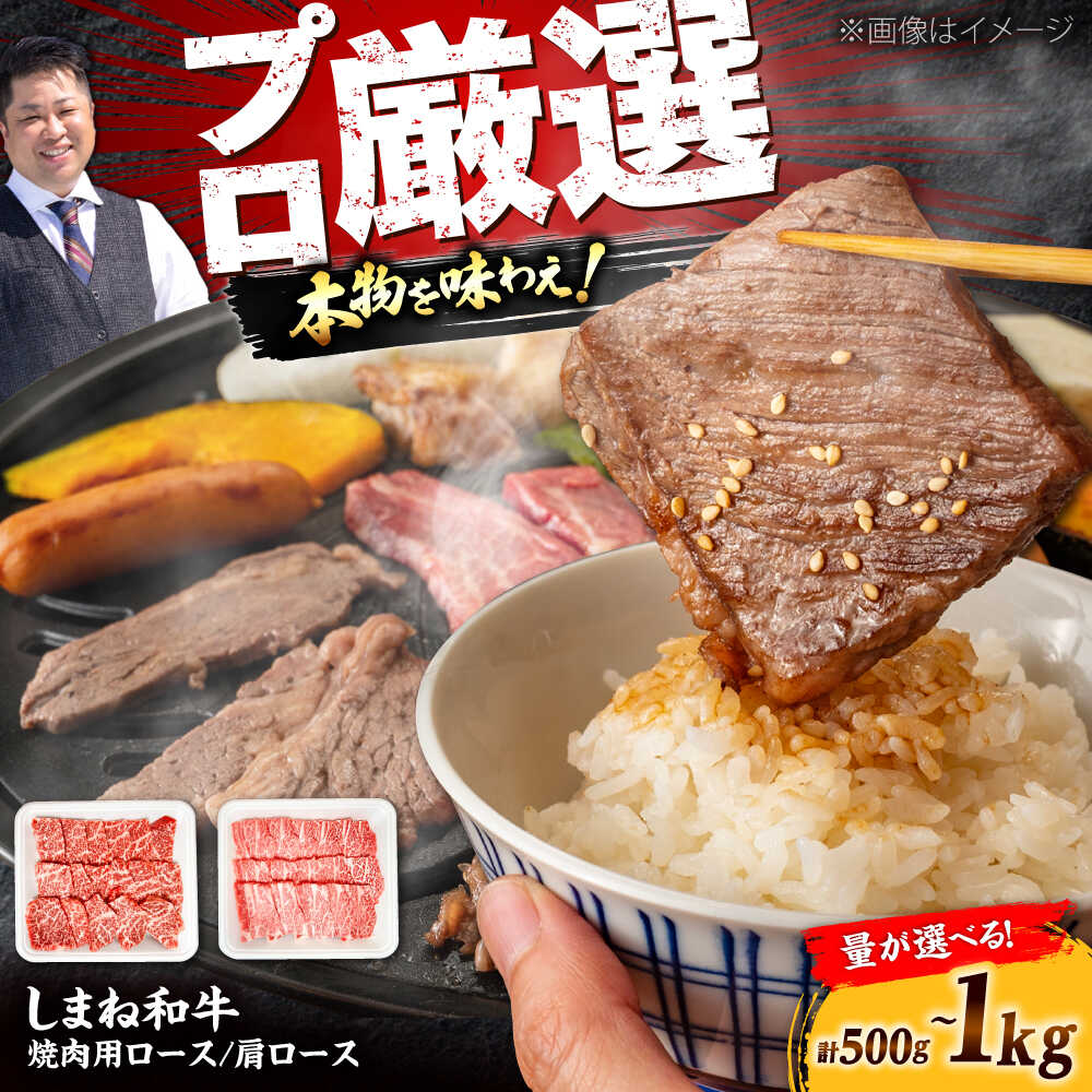 【ふるさと納税】【選べる容量】【焼肉の定番！】しまね和牛焼肉用ロース/肩ロース500g～1kg 和牛 牛肉 国産 国産牛 赤身 焼肉 ステーキ ロース 肩ロース 人気 大容量 黒毛和牛 ギフト 島根県雲南市/株式会社O.R.C[AIEF011]