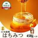 【ふるさと納税】うつしの里 日本蜜蜂はちみつ 1本 (450ml) 蜂蜜 ハチミツ 健康 レシピ 国産 効能 美容 栄養 福島県 田村市 菅野 豊