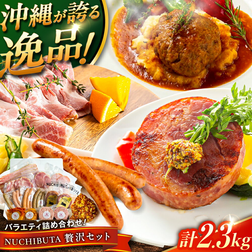 【ふるさと納税】 『NUCHIBUTA 贅沢セット』 豚肉 ハンバーグ ソーセージ ハム お取り寄せ 国産 ギフト 冷凍 沖縄市 / DELICATESSEN NUCHIBUTA [BCAR008] 手作り