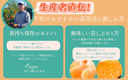 不知火 みかん 蜜柑 デコポン 柑橘 フルーツ 果物 / たにぐち農園の完熟不知火 5kg【2025年2月中旬から3月下旬までに順次発送】【mtn011A】