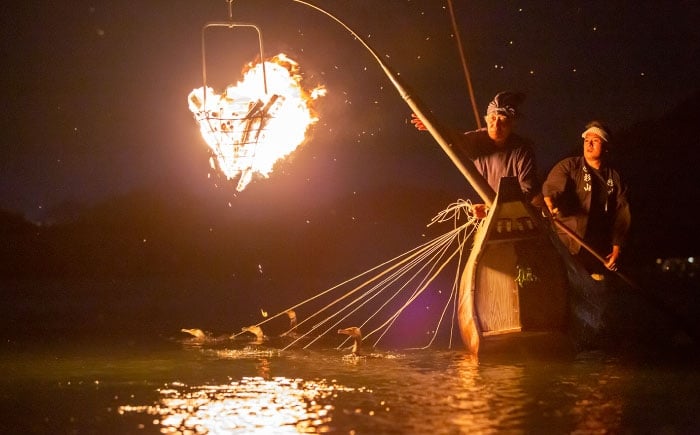 岐阜 観光 旅行 チケット 鵜飼い 鮎 日本遺産 重要無形民俗文化財 遊覧船