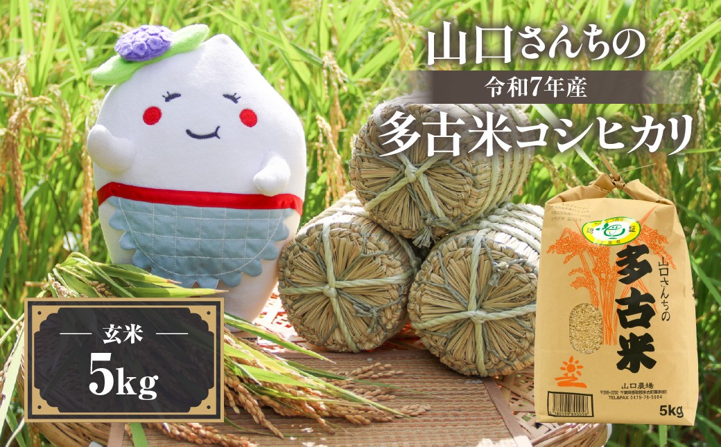 
                  山口さんちの＜令和7年産＞多古米コシヒカリ(玄米)5kg TAKF045
                