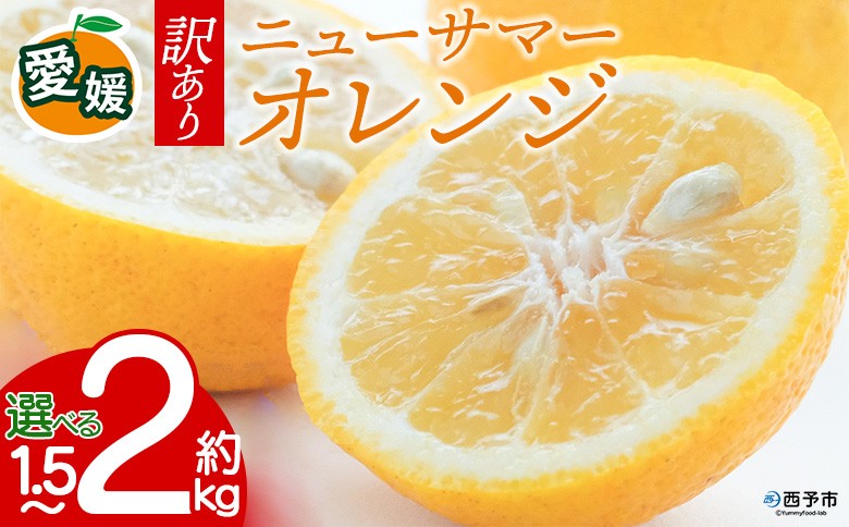 
                  【先行予約】＜訳あり 愛媛県産 ニューサマーオレンジ 約1.5kg／2kg＞ 『2027年4月～5月に順次出荷予定』選べる 日向夏 小夏 ご家庭用 ご自宅 蜜柑 果肉 果物 柑橘 フルーツ オレンジ 国産 濃厚 果汁 ミヤモトオレンジガーデン 愛媛県 西予市【常温】
                