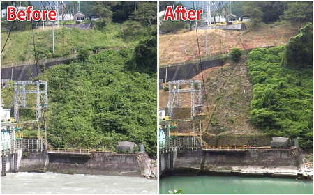 【22,000円分利用券】高知県香美市 草刈り代行サービス 1日 草刈り 草刈 くさかり 草引き 除草作業 除草 お手入れ 代行 サービス