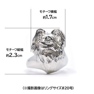 ふるさと納税 南アルプス市 純プラチナ製(Pt999) 『パピヨン』リング 17号 |  | 01