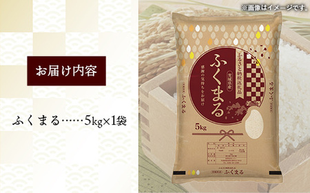 令和7年産 茨城県産 ふくまる 5kg ／ お米 精米 新米 旨味 安心 美味しい 茨城県 五霞町