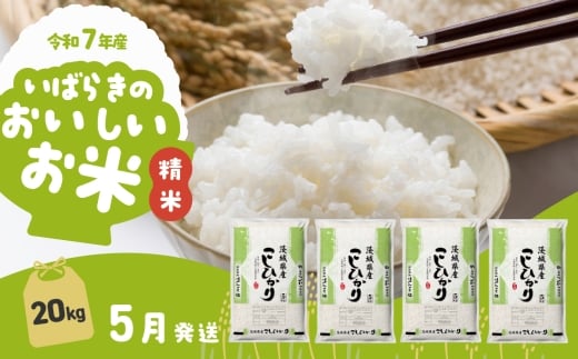 【5月発送】令和7年産 コシヒカリ 20kg 精米 茨城県産