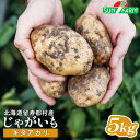 【ふるさと納税】じゃがいも キタアカリ 5kg いも おいも 芋 イモ ジャガイモ ポテト きたあかり オンライン 申請 ふるさと納税 北海道 留寿都 野菜 根菜 ホクホク 産地直送 新鮮 採れたて ポテトサラダ コロッケ スープ 5キロ 留寿都村【24012】