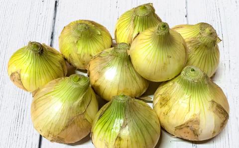 【新玉予約】ひょうご安心ブランド認証 特別栽培の玉ねぎ「戎珠（えびすたま）」 ５kg