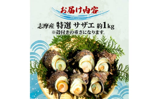 志摩産特選サザエ1ｋｇ入り / 三重 志摩 伊勢志摩 新鮮 海鮮 海産物 魚介 魚貝 サザエ 貝 刺身 お造り つぼ焼き グリル BBQ バーベキュー キャンプ 夏 〔010-129〕