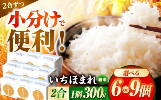 【2026年1月中旬より順次発送】【300g×9個】福井県産 いちほまれ 300g×9個 2合 真空パック 小分け  / 白米 国産米 福井県 ブランド米 保存しやすい 小浜市 / シマダ農園 [BFAV012]