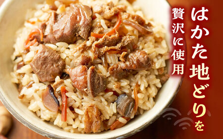 地どり飯の素 セット 190g×3袋 [VBA008] 鶏飯 鶏めし ご飯の素 地鶏飯