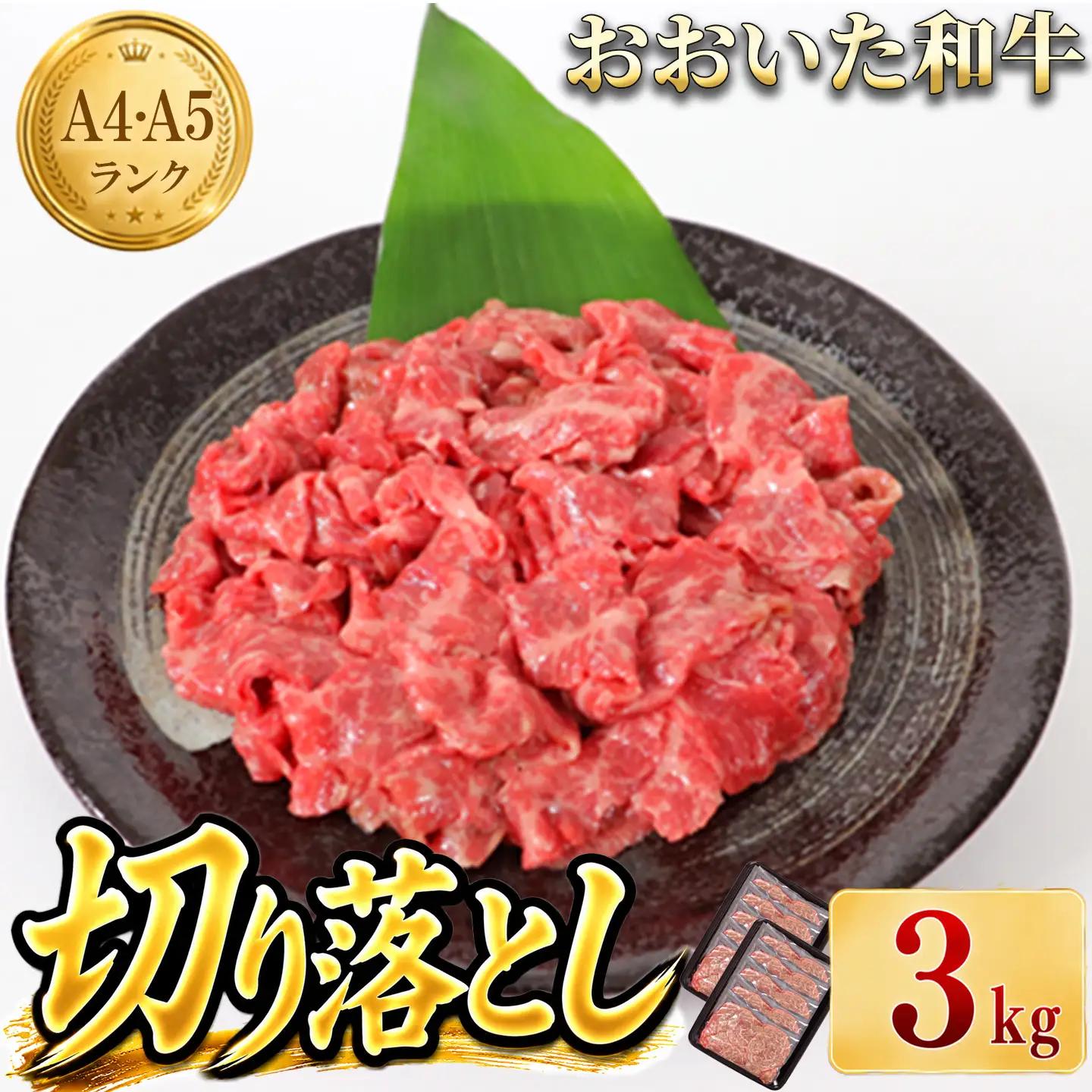 ＜生産者支援品＞おおいた和牛切り落とし3kg（300g×10p） ※真空パック 【匠牧場】