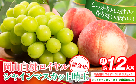 【先行予約】岡山県産 岡山白桃 ロイヤル L~ 3Lサイズ シャインマスカット 計 1.2kg 詰合せ 株式会社 はちや《7月上旬‐8月下旬頃出荷》【配送不可地域あり】