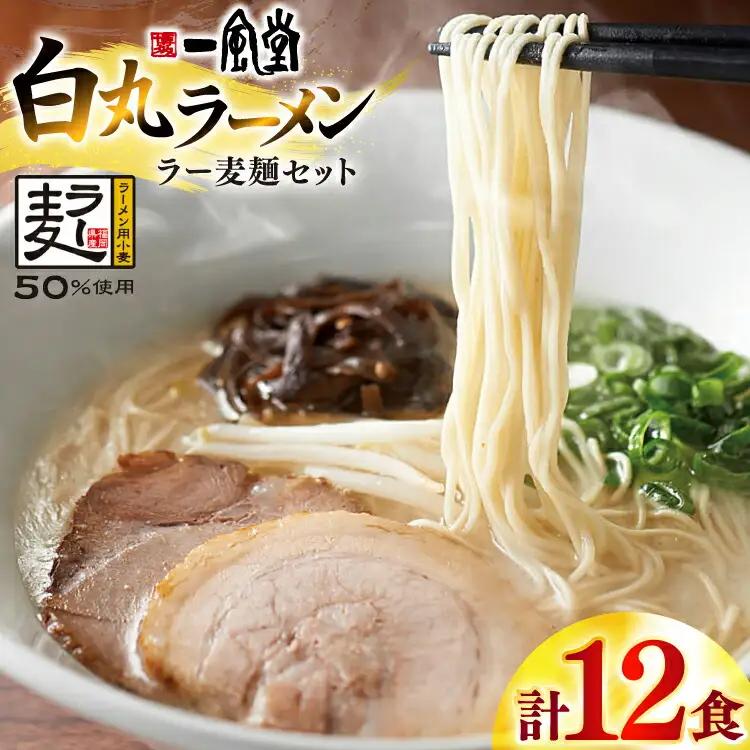 一風堂 博多 とんこつラーメン 白丸 12食 豚骨ラーメン