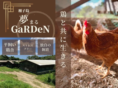 種子島　夢まるガーデンの平飼い　産み立てたまご×120個　900pt　NFN370