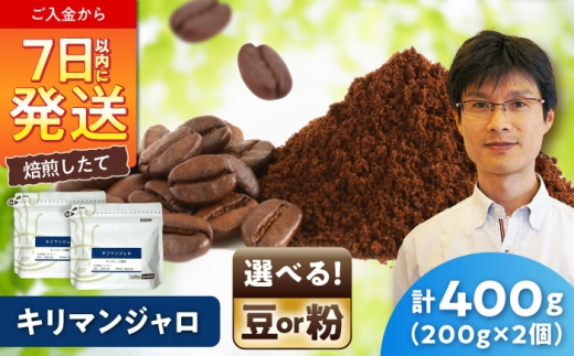 キリマンジャロコーヒー(豆)　モンデュール農園　200g×2 / 珈琲 コーヒー キリマンジャロ / 瀬戸市 / Ｃｏｆｆｅｅ　ＳＡＫＵＲＡ [BBAB134]