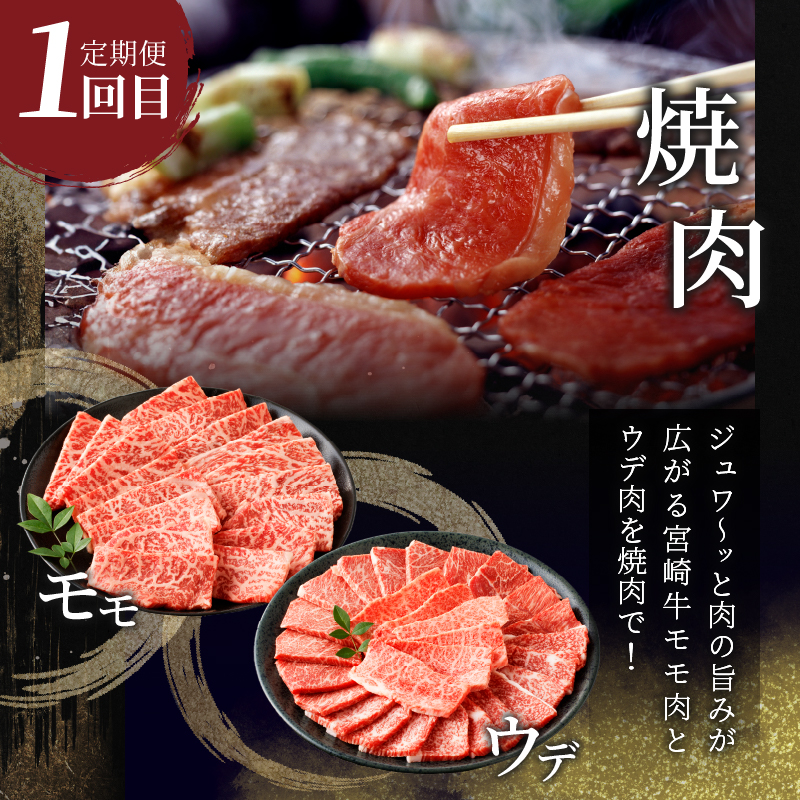 3か月お楽しみ定期便『宮崎牛よくばりセット』総重量2.4kg_T030-021【肉 牛 牛肉 おかず 国産 人気 ギフト 食品 すき焼き しゃぶしゃぶ 焼肉 BBQ 送料無料 プレゼント】