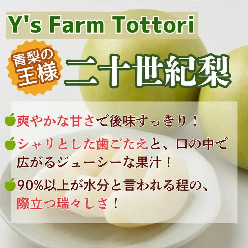 Y1015 二十世紀梨(家庭用) 5kg