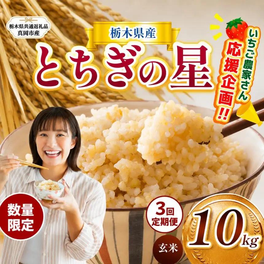 【定期３回】先行予約【令和8年度産】栃木県産とちぎの星 10kg | 【栃木県共通返礼品】 