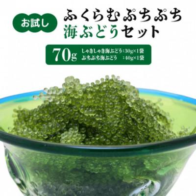 ふるさと納税 糸満市 ふくらむぷちぷち 海ぶどう 塩水タイプ 70g 2種 各1パック お試しセット 食べ比べ