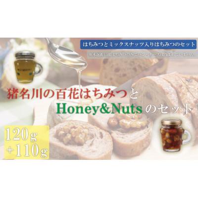 ふるさと納税 猪名川町 猪名川の百花はちみつ(栗)とハニーナッツ1本ずつ(計2本)セット