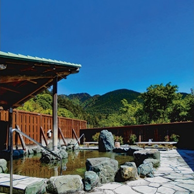 
                  天然温泉「ならここの湯」入湯券 11枚【1715959】
                