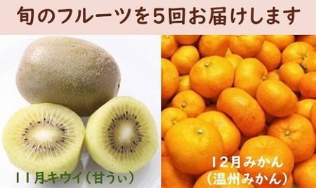 【年5回】旬のフルーツ定期便★あんずの里【随時開始】[G7032]