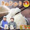 【ふるさと納税】 お米 定期便 4回 きぬひかり 5kg 令和6年産 毎月 月に1回 お米 5キロ お米5kg コメ 精米済 備蓄 備蓄米 保存 防災 災害 白米 ごはん ご飯 おにぎり お弁当 お取り寄せ 徳島県 阿波市