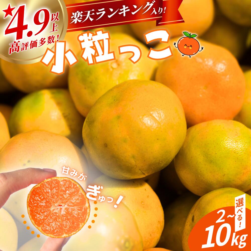 【ふるさと納税】 みかん 小玉 ss 温州みかん 「小粒っこ」 2kg 4kg 10kg ※箱込み ※秀優混合 《 レビューキャンペーン 実施中 ! 》8000円 10000円 ( 極早生 早生 中生 晩稲)【2S～3Sサイズおまかせ】【2025年10月中旬～2026年1月下旬までに順次発送】＜味好農園＞