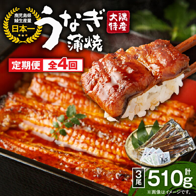 【ふるさと納税】【定期便4回】大隅特産うなぎ蒲焼 3尾（510g）×4回 合計12尾 計2.04kg たれ付 真空パック 湯煎 レンジ 簡単調理 国産 国産うなぎ 定期 うなぎ蒲焼 鹿児島県 鹿屋市【寺園商店】