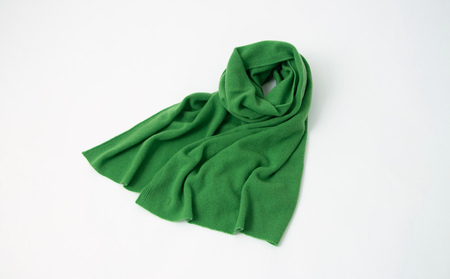 【UTOカシミヤ】天使のストール レギュラーサイズ（リーフグリーン） 岩手県 北上市 L0102 （UTO）