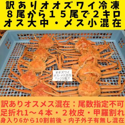 ふるさと納税 白老町 訳あり オオズワイガニオスメス混在　浜ゆで 8-15尾で2kg