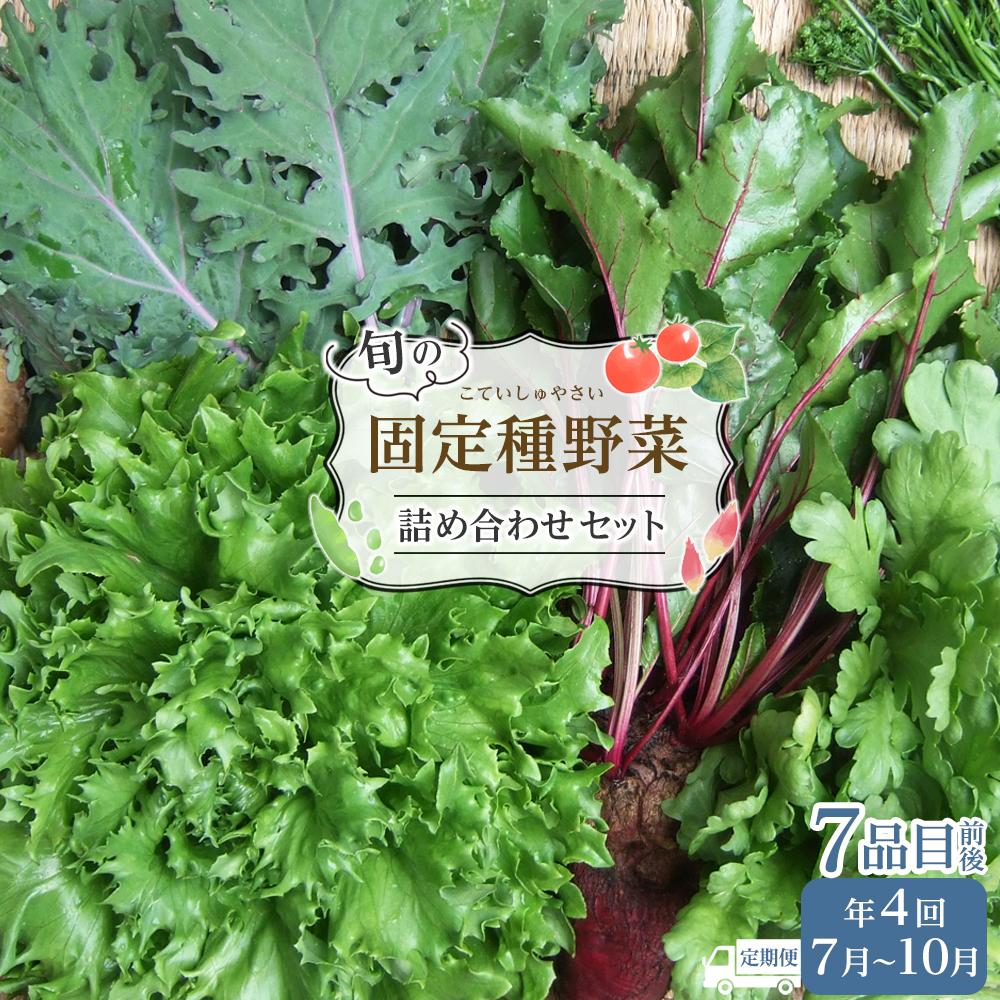 【ふるさと納税】野菜［2025年先行予約 4回定期便］ 旬の固定種野菜 バイオダイナミック農業 7品目前後（7月～10月のお届け）冷蔵配送 | 野菜 やさい 食品 人気 おすすめ 送料無料