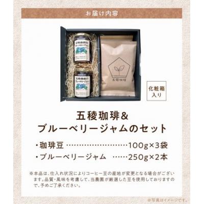 ふるさと納税 南九州市 五稜珈琲100g×3ヶ国・ブルーベリージャム250g×2個セット |  | 03