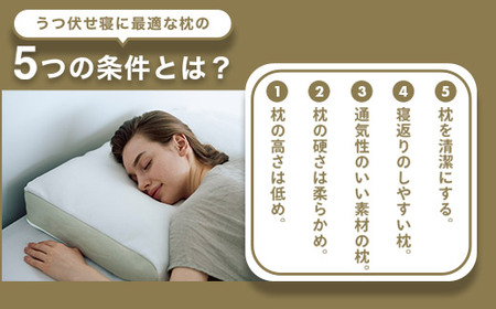 うつぶせ寝を好む人向け枕 THE PILLOW Preset 09 Utsubuse