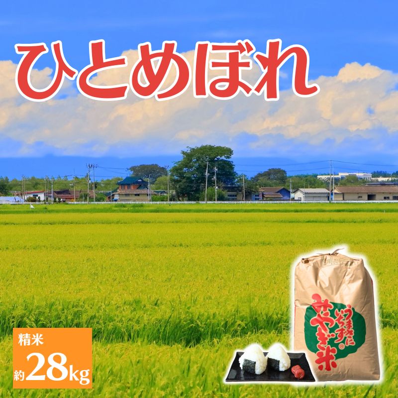 【ふるさと納税】≪先行予約≫ 【環境保全米】アグリとみたの 令和7年産 ひとめぼれ 精米 約28kg 数量限定 米 お米 こめ コメ 白米 ご飯 ライス 産地直送 ブランド米 宮城県産 送料無料